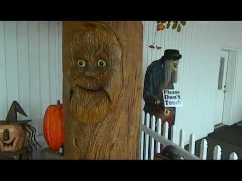 Video: Picking Pumpkins at Huber's Family Farm