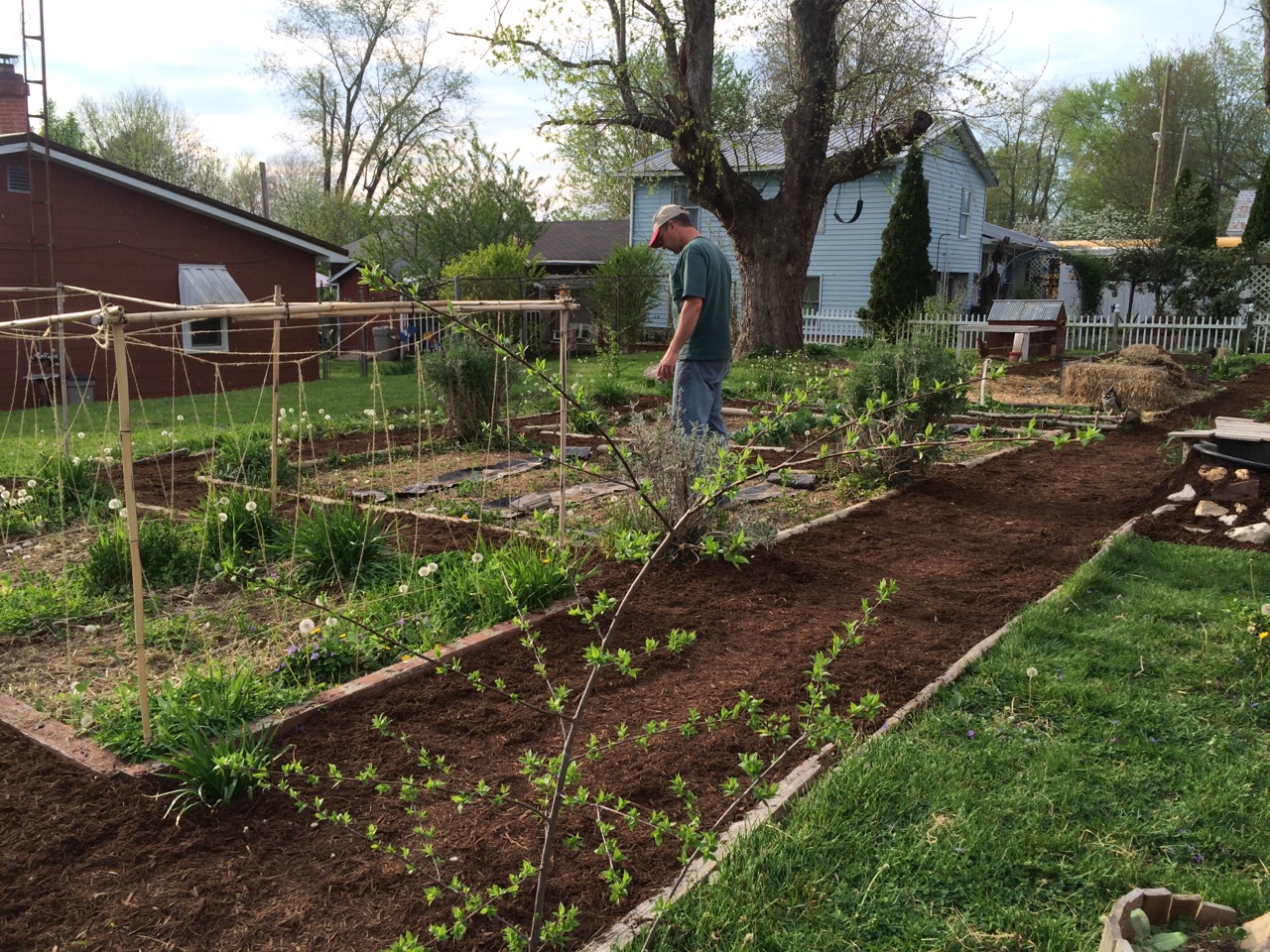 Permaculture Farming: What it is and Resources to Get Started