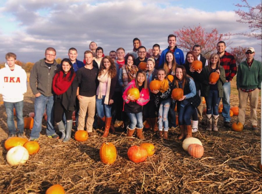 Pumpkin picking at Hubers Orchard, Vineyard and Winery. Photo by Erin Coffee