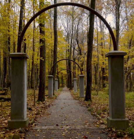 The arches from The Walkway of Roses that led from the amusement park to the hotel remain barren and stand out from the overgrowth of what used to be Rose Island.