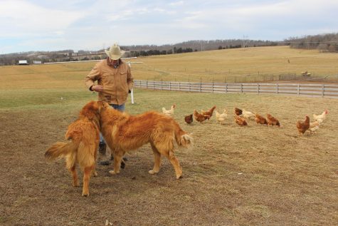 Steve Carr tends to his two chicken coop guard dogs, Bear and Ranger.