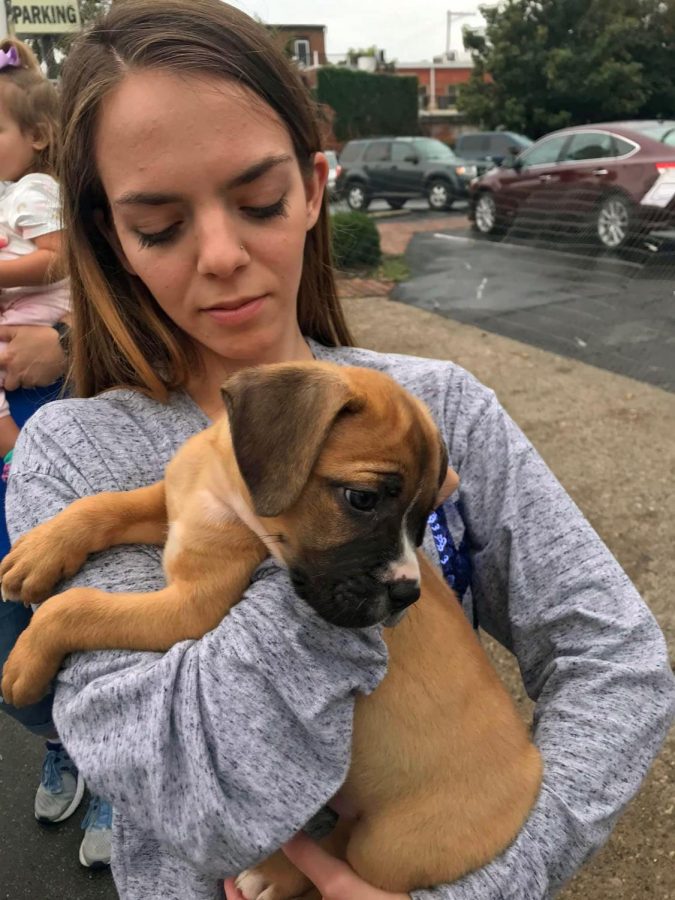 Joanna Smith holds a boxer puppy brought to Harvest Homecoming by Fat Heads Rescue.