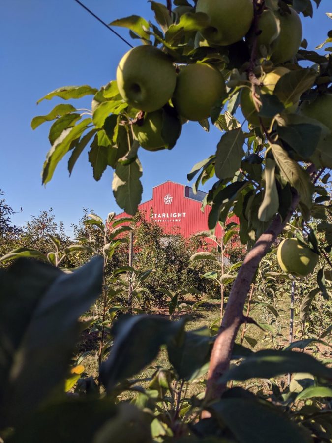 A view of the Starlight Distillery through a granny smith tree found at Huber’s Orchard and Winery. Visitors can pick granny smith, Fuji and goldrush apples during the month of October.