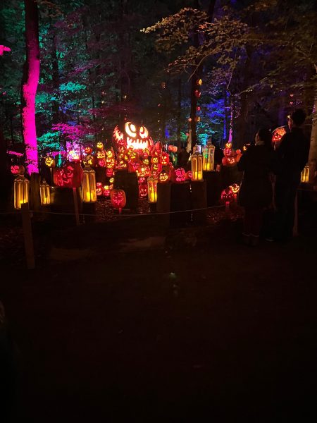 Families wander through the glowing forest trail at the Louisville Jack O’ Lantern Spectacular, surrounded by more than 5,000 hand-carved pumpkins.